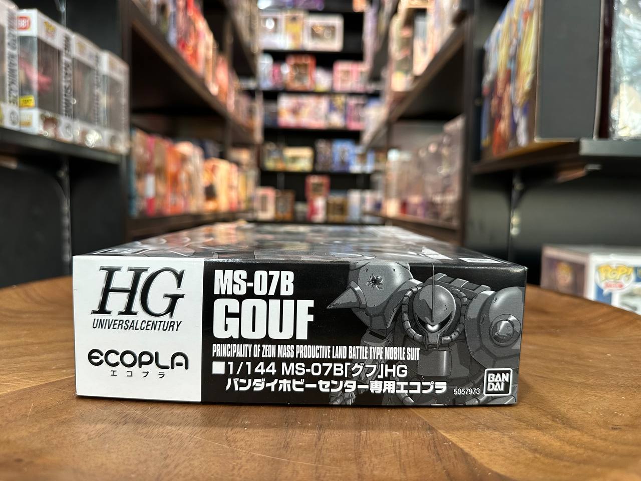 [HG] Gundam Gouf (Ecopla)